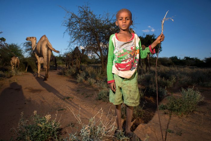 Lchekutis, Maasai Child Shepherds